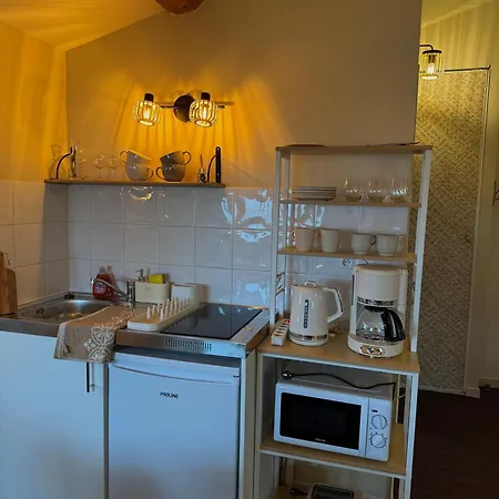 Suite Lodge Apartman Lyon
