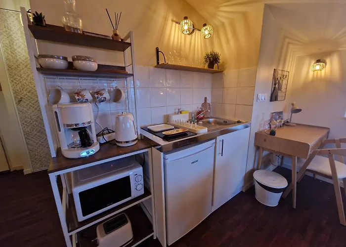 Suite Lodge cocon Appartamento Lione