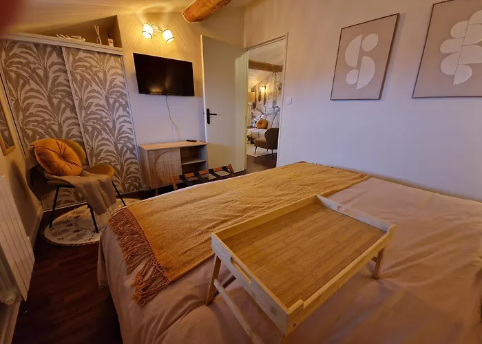 Appartement Suite Lodge cocon Lyon