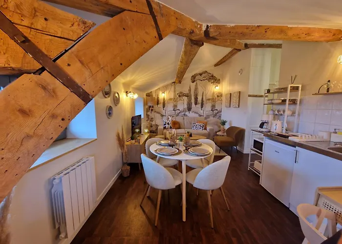 Suite Lodge cocon Appartement *