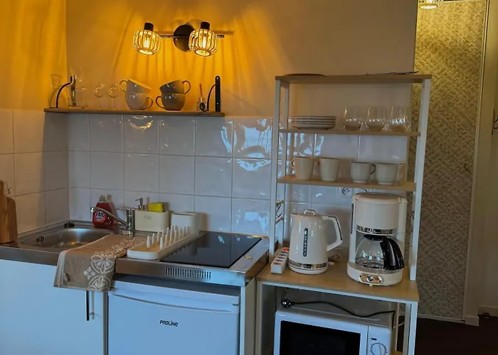 Suite Lodge Апартаменты Лион